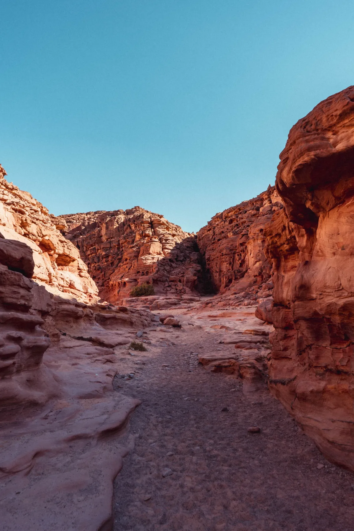 A narrow gravel path winds through red sandstone walls in a desert canyon under a clear blue sky.
