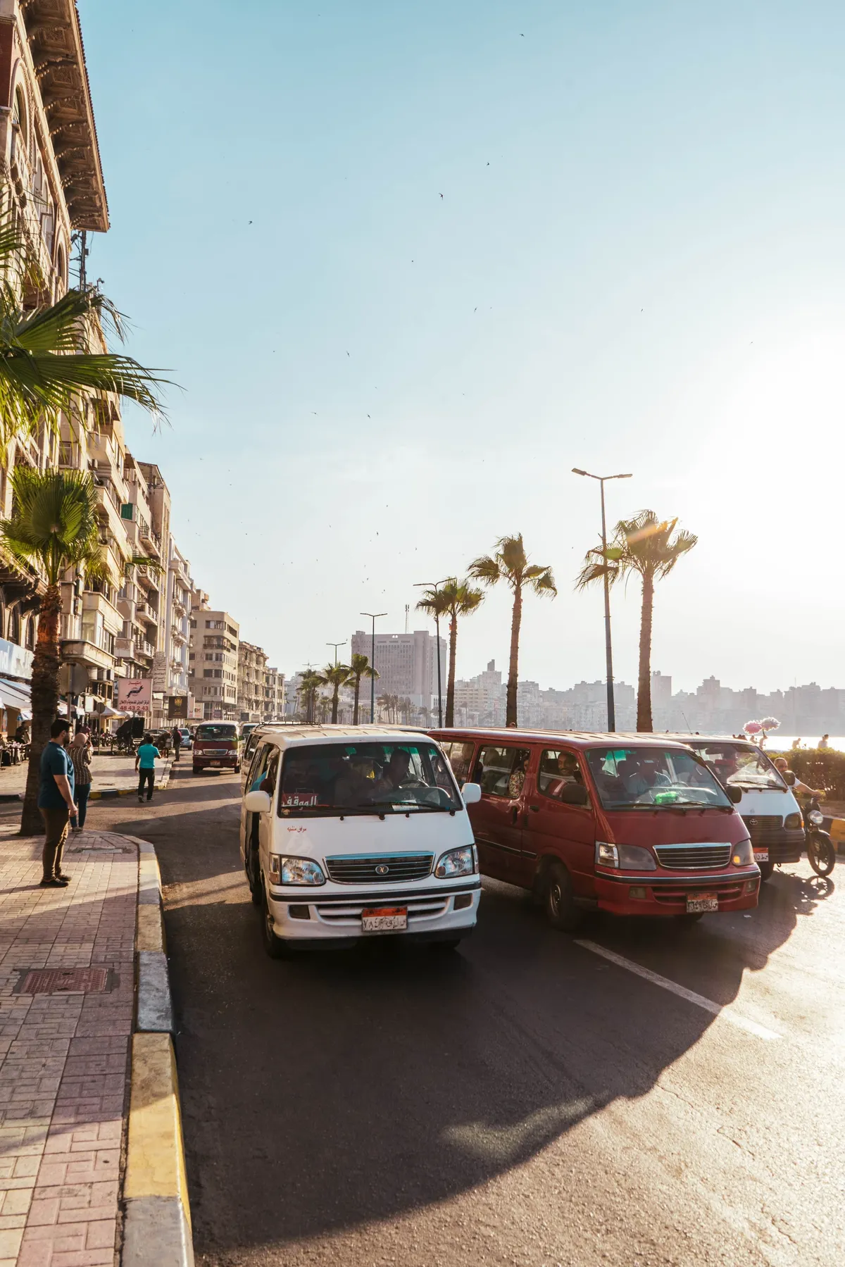 Minibuses and cars on a seafront road in Alexandria, with palm trees and the city skyline in warm backlight.