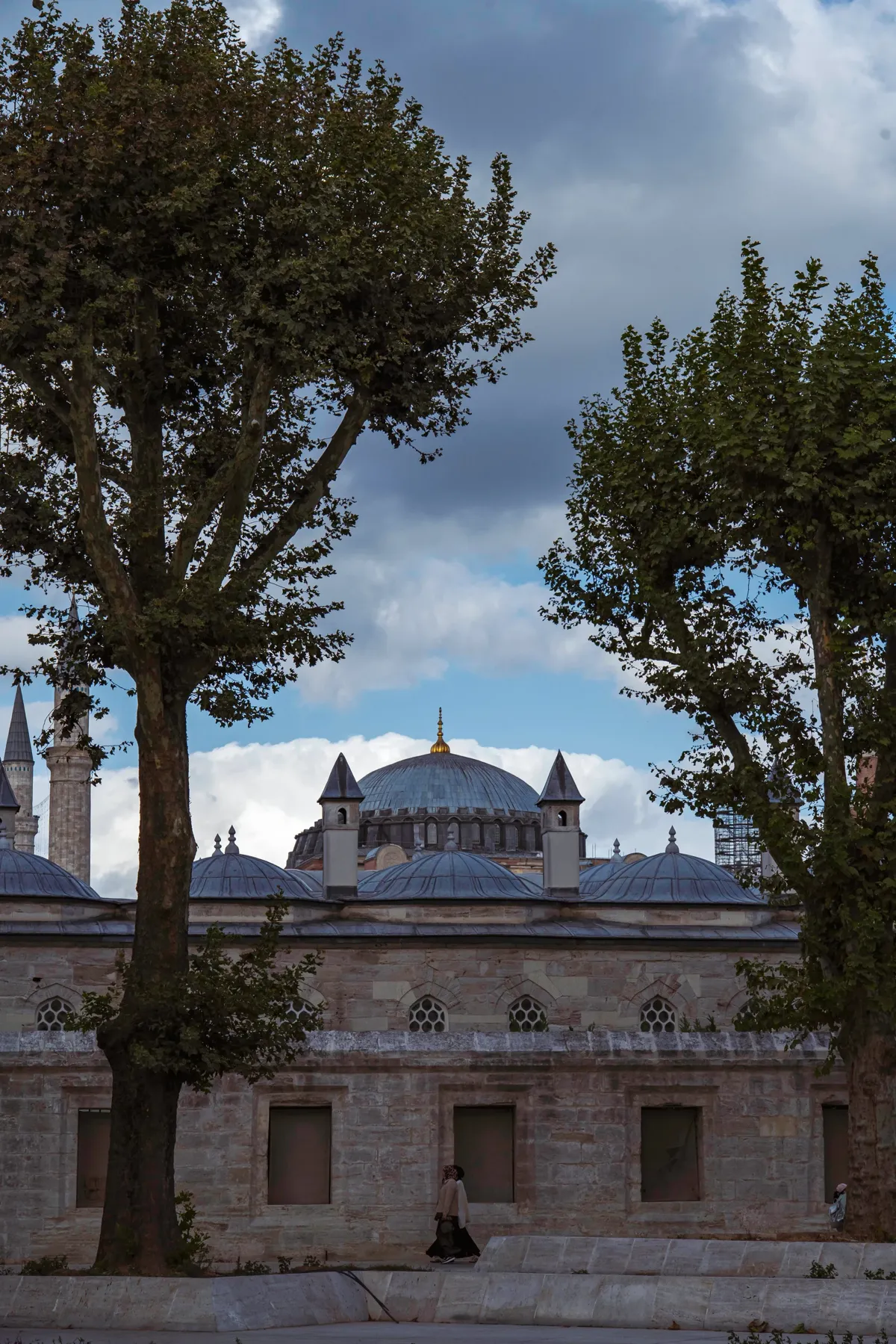 Two tall plane trees stand before a long stone building with small domes and a larger dome behind, under clouds.