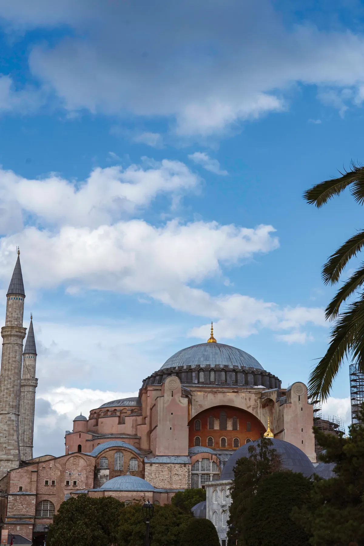 Hagia Sophia in Istanbul with its large dome and minarets against a bright blue sky, and palm fronds at right.