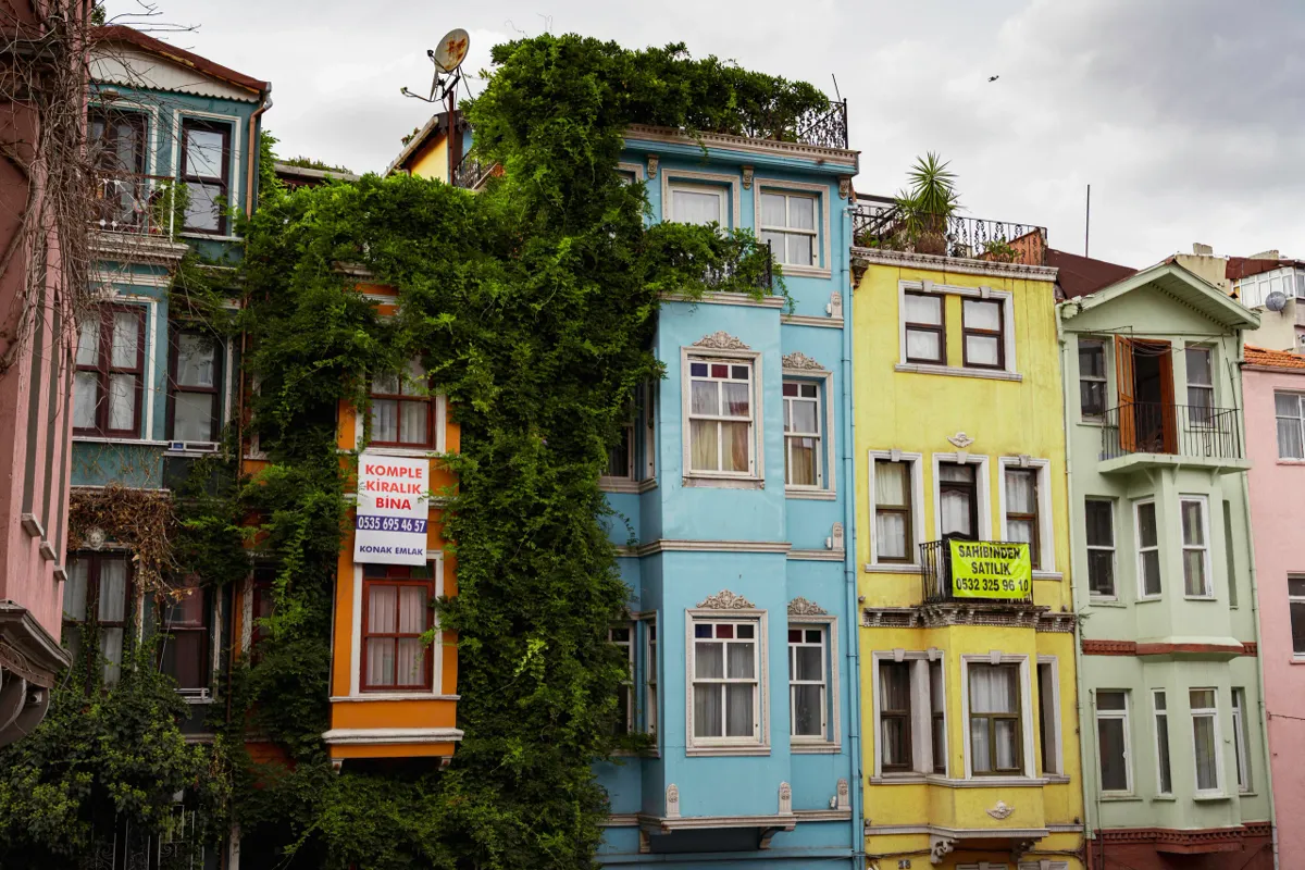 Colourful old houses in blue, yellow, orange and green partly covered in ivy on an Istanbul hillside street.