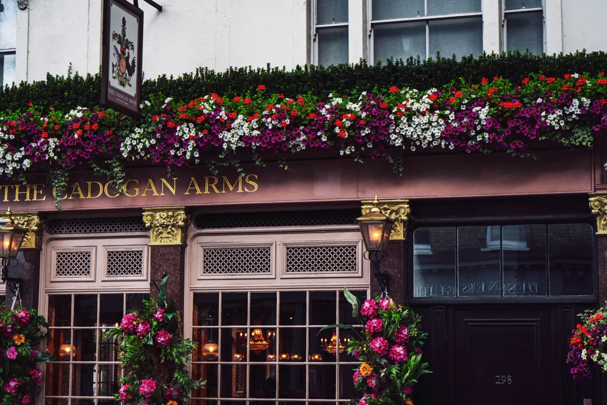 A London pub front hung with flower boxes of purple, white and red blooms above its gold-lettered sign.