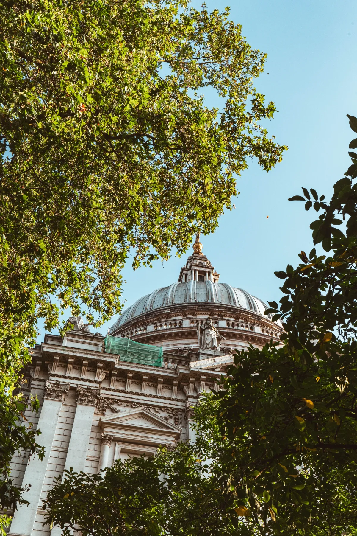 The dome of St Paul's Cathedral seen through leafy tree branches against a blue sky.