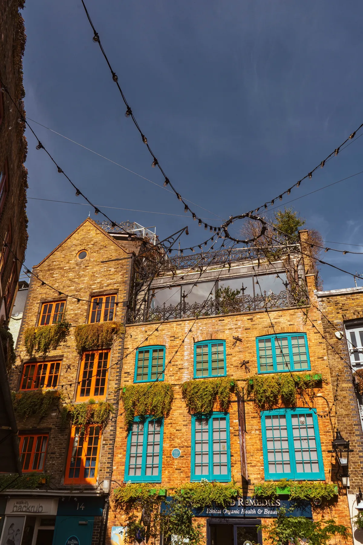 A brick courtyard building with teal window frames and hanging ivy, crossed by strings of lights under a dark sky.