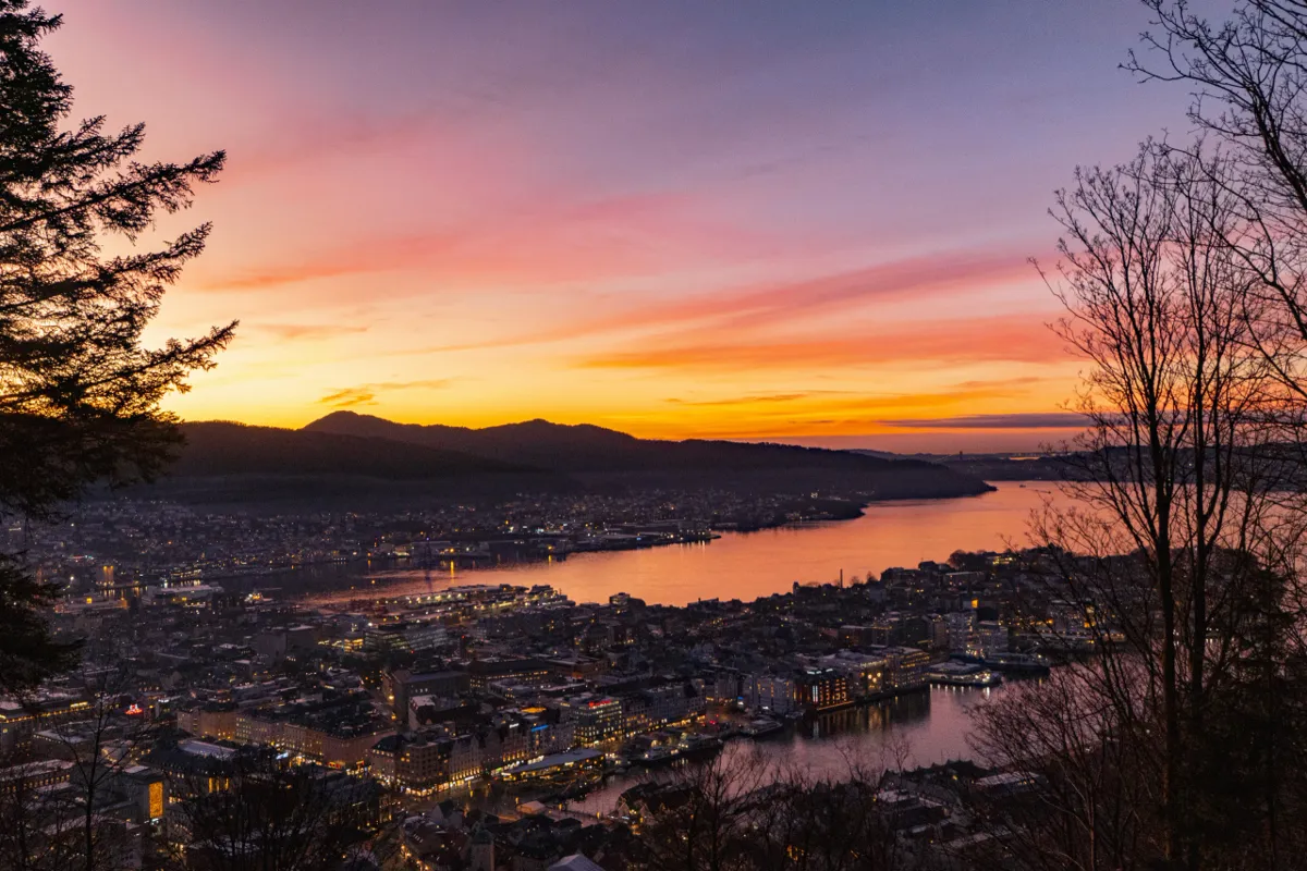 Bergen's city lights and harbour at dusk under a pink and orange sky, framed by bare trees and a conifer.