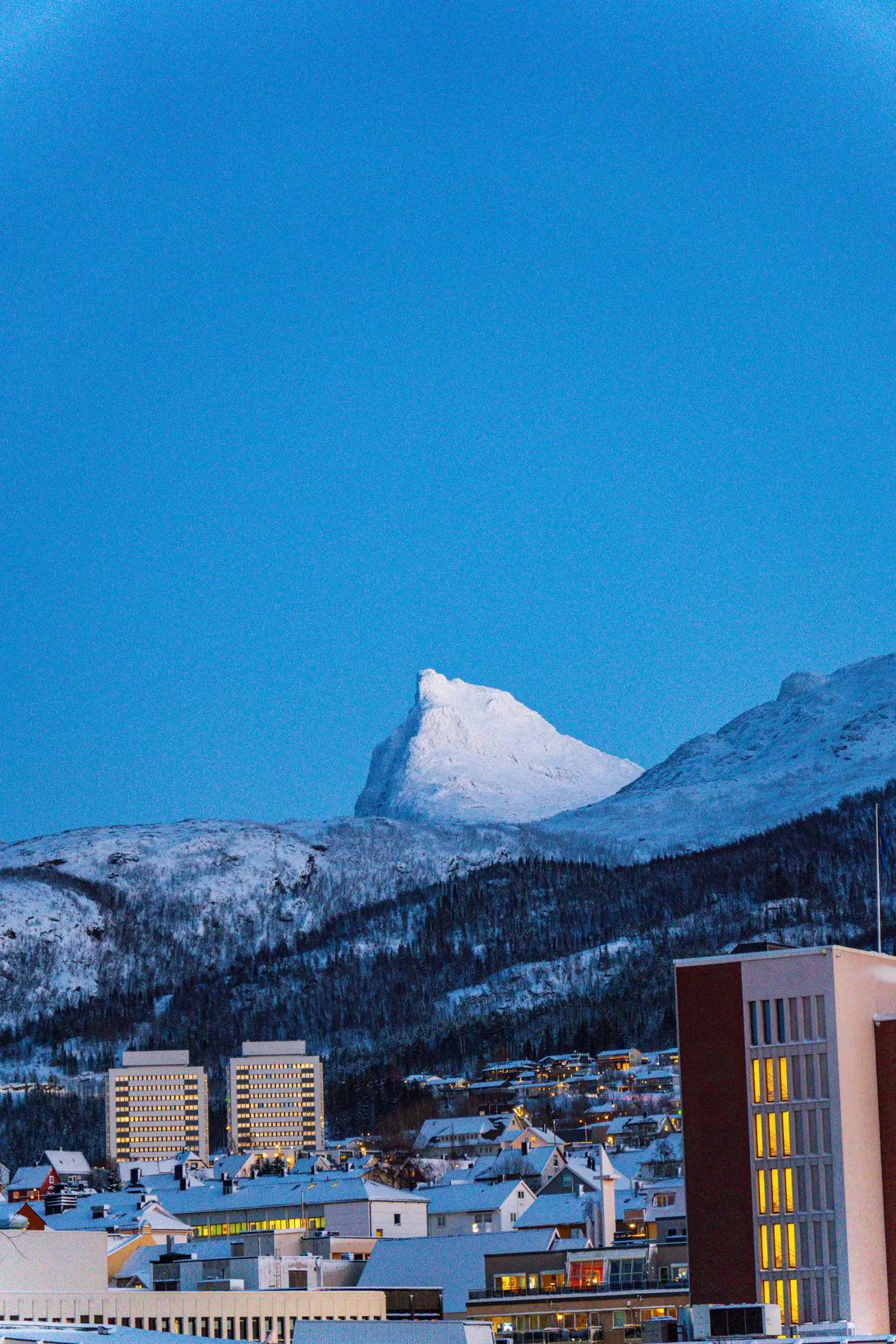 A sharp snow-covered peak glows against a deep blue sky above the lit rooftops of Narvik at blue hour.