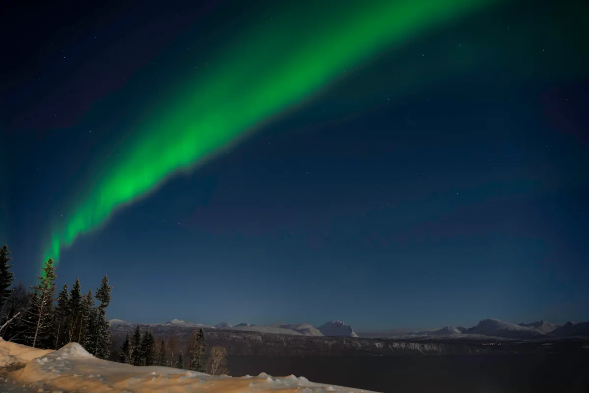 A green aurora arcs across a starry night sky above snowy mountains and a dark fjord near Narvik.