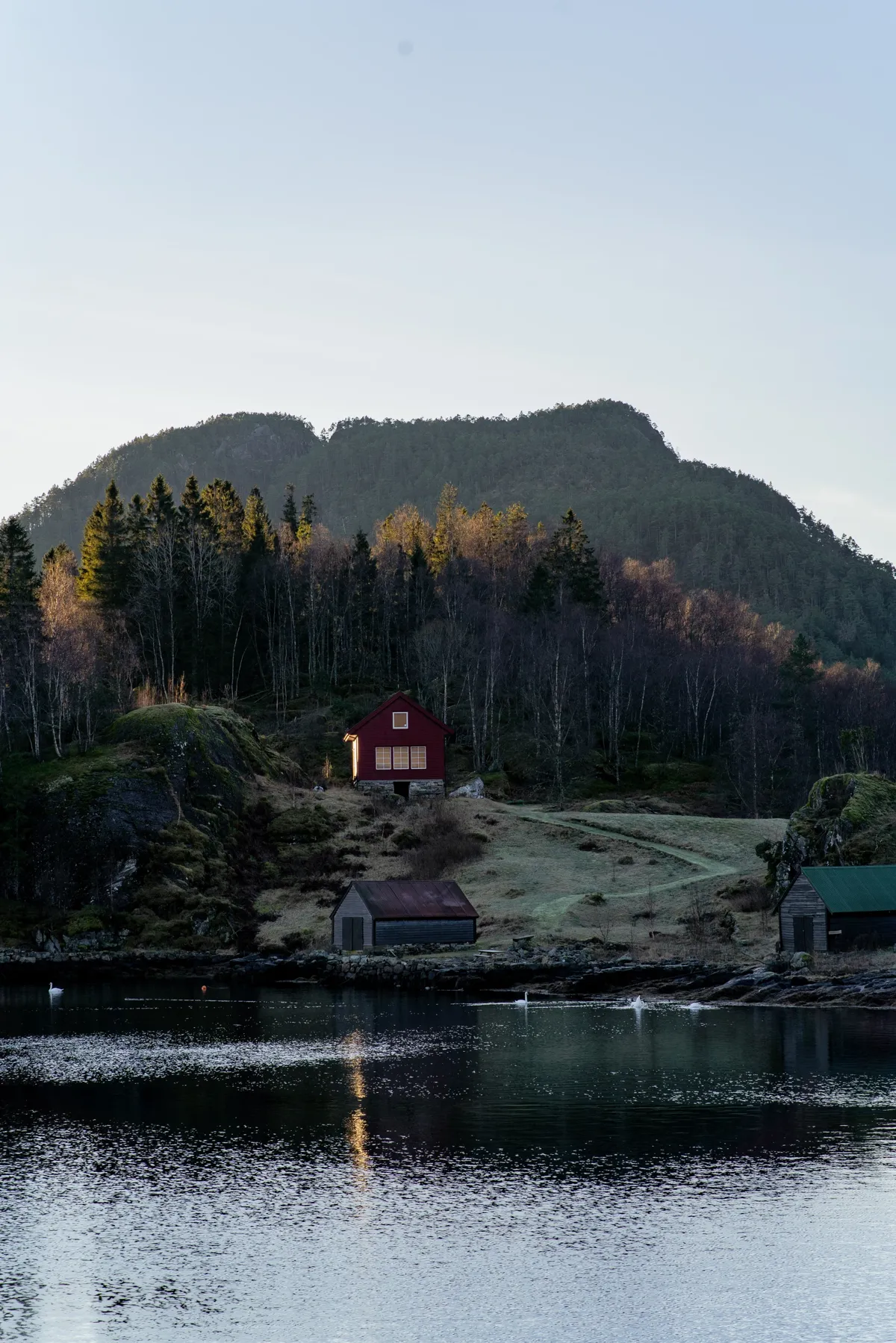 A red wooden house and boathouses among autumn trees on a fjord shore, with swans on the calm water.