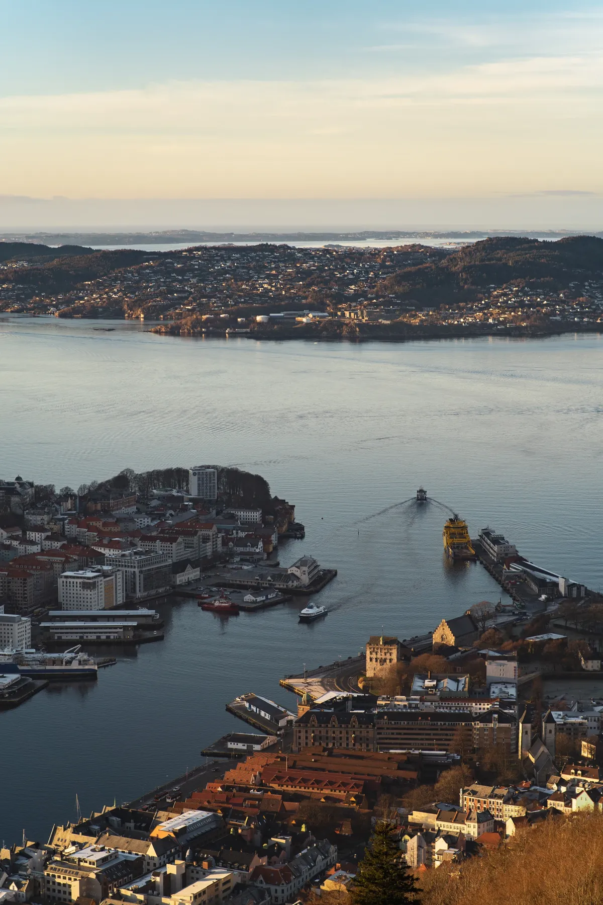 View from the hill over Bergen's harbour and city at golden hour, with a ferry crossing the water.