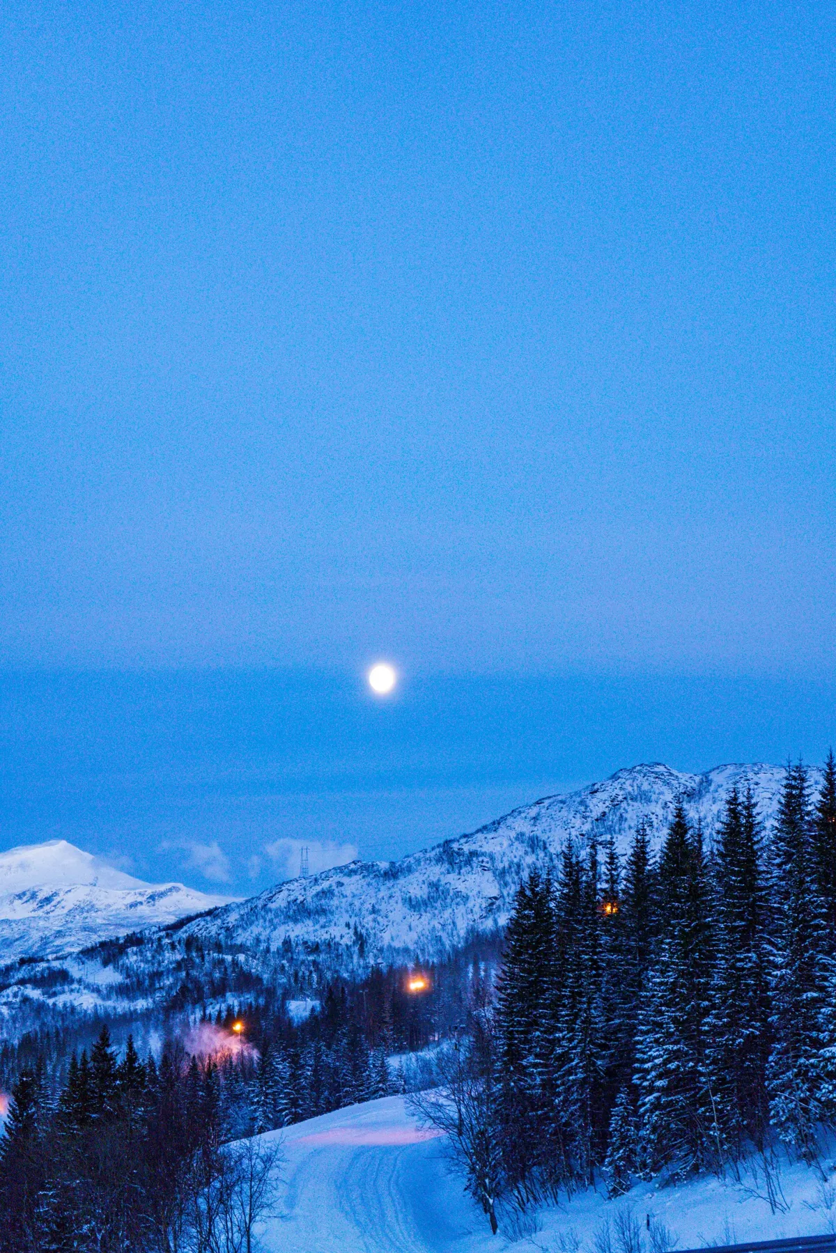 A full moon in a blue twilight sky above snowy hills and spruce trees near Narvik.