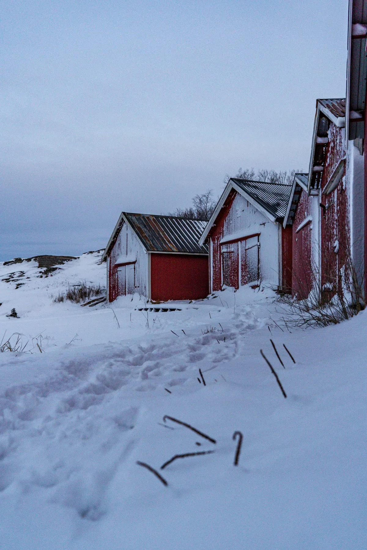 Red wooden boathouses with snow on their roofs stand on a snowy shore under a grey winter sky.