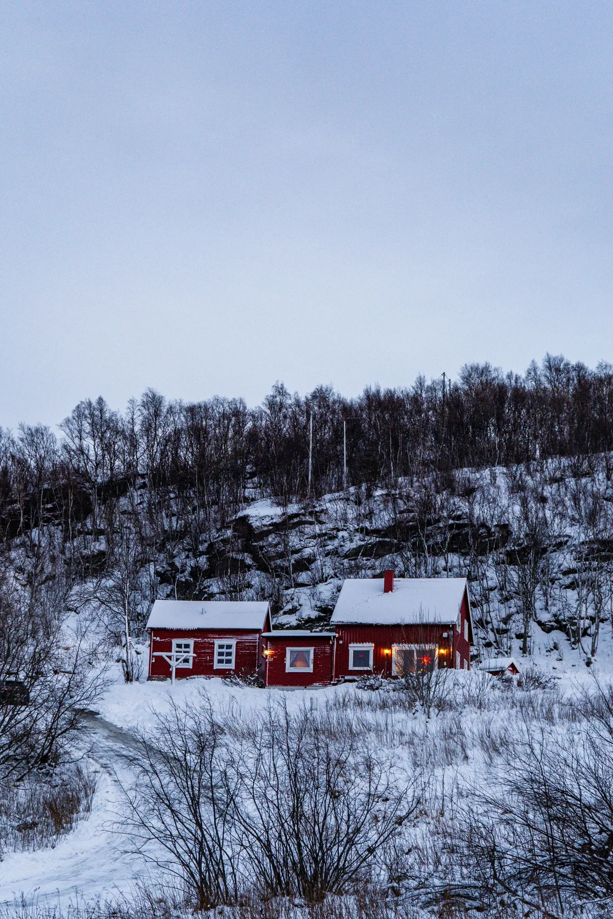A red wooden house with lit windows sits on a snowy hillside below bare birch trees in cold twilight.