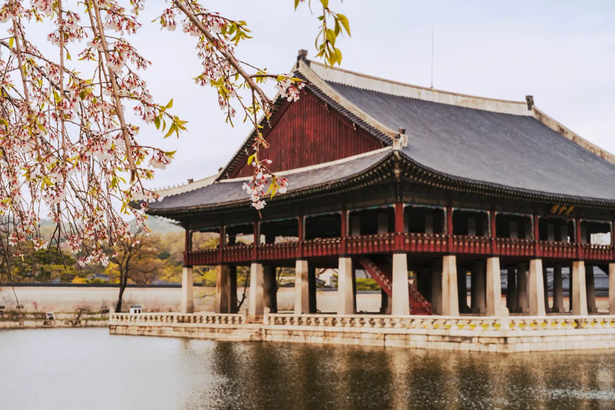 Large wooden pavilion with a grey roof and red balustrade standing on stone pillars over a calm pond, a cherry blossom branch hanging in at left.