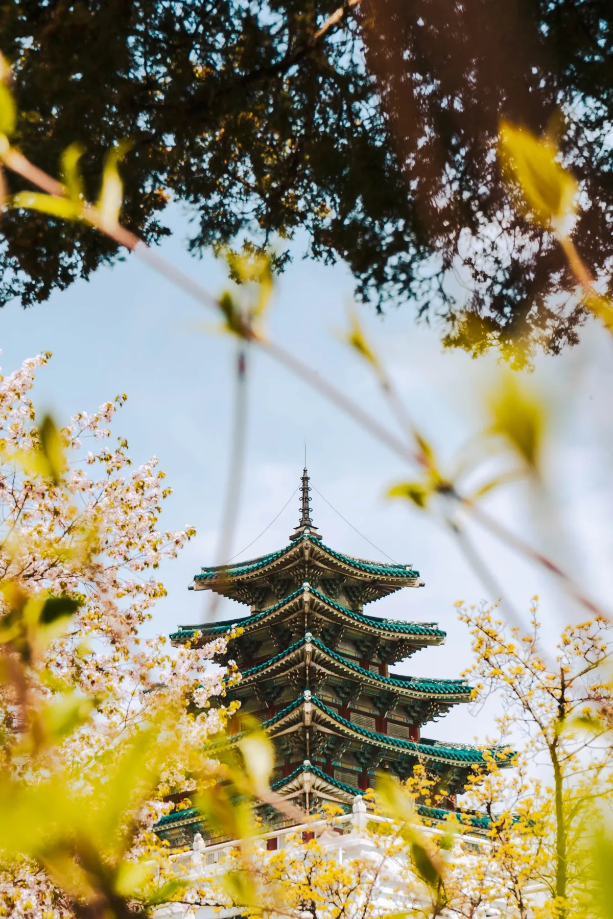 Green-roofed tiered pagoda seen through pink cherry blossoms and yellow-green spring leaves, with dark tree branches overhead and a pale blue sky.