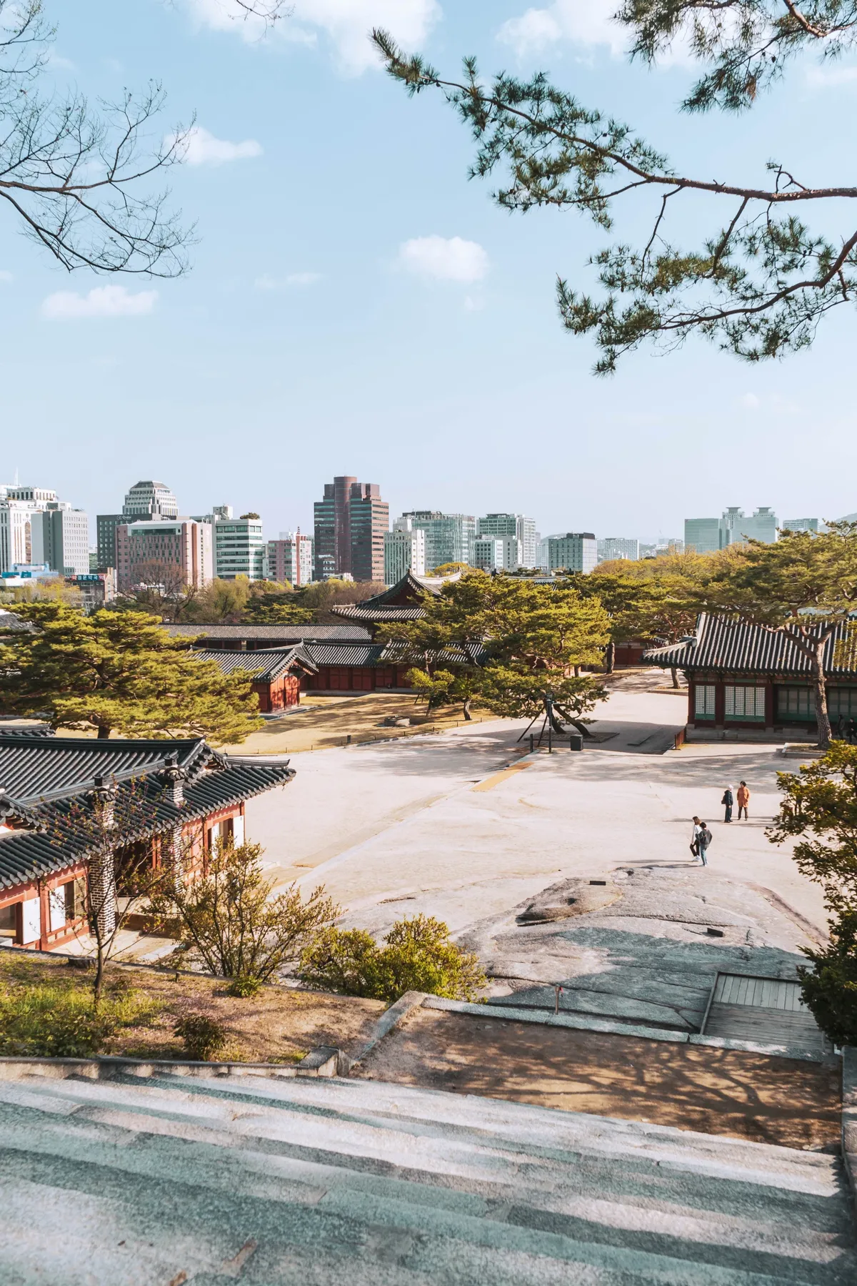 View from stone steps over a sunlit palace courtyard with low tiled-roof buildings and pine trees, apartment towers on the horizon under a blue sky.