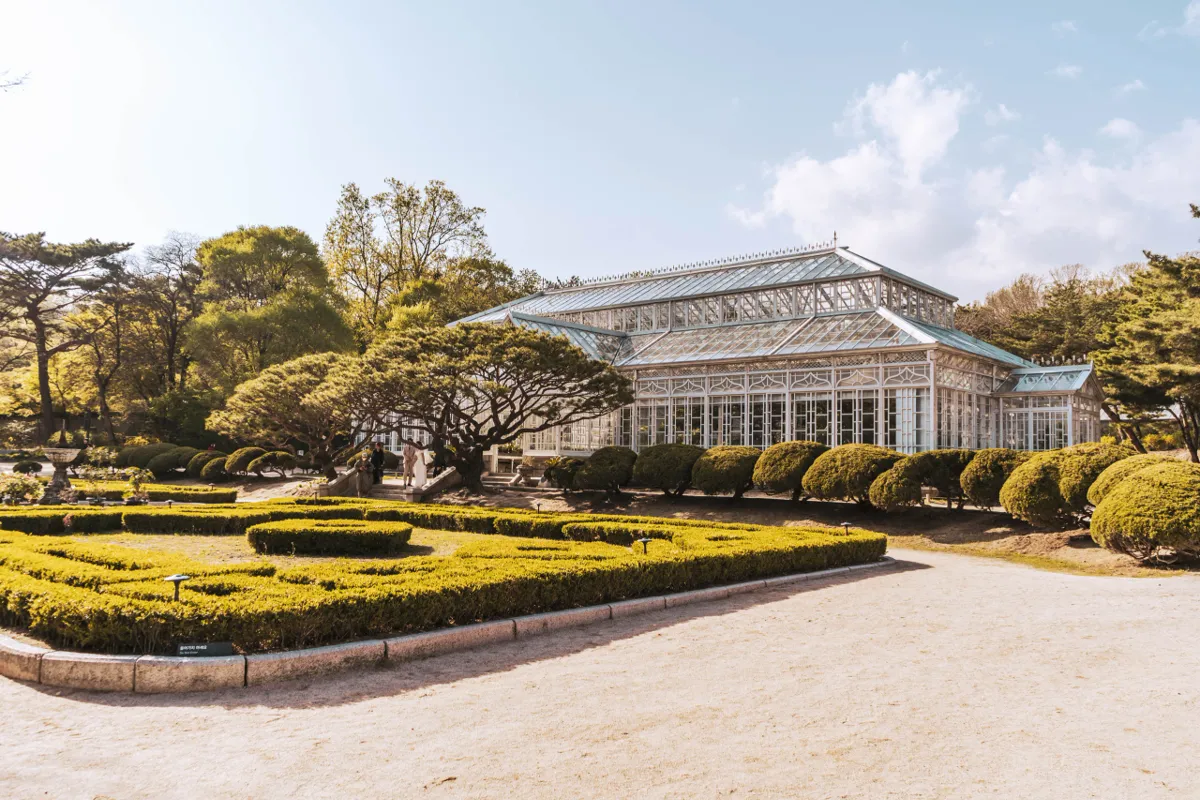 White-framed glass conservatory with a low pitched roof behind rounded green hedges and pine trees, in warm afternoon sun with clouds in the sky.
