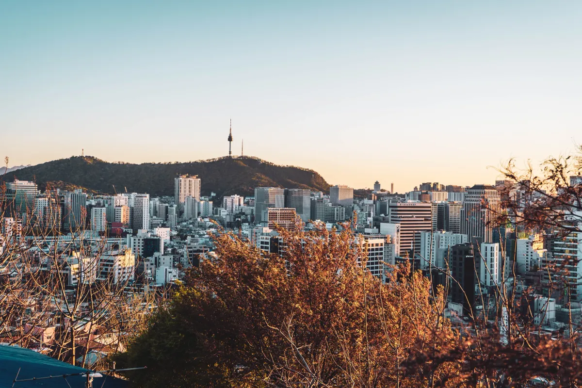 City rooftops and tall buildings at sunset with N Seoul Tower on its forested hill in the distance, warm orange foliage in front under a pale sky.