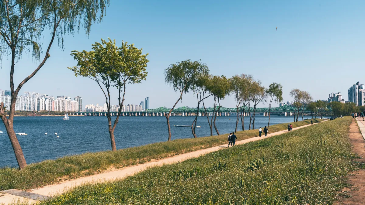 Path along the Han River bank lined with young willow trees and grass, a few walkers, a green steel bridge and city blocks in the distance under a blue sky.