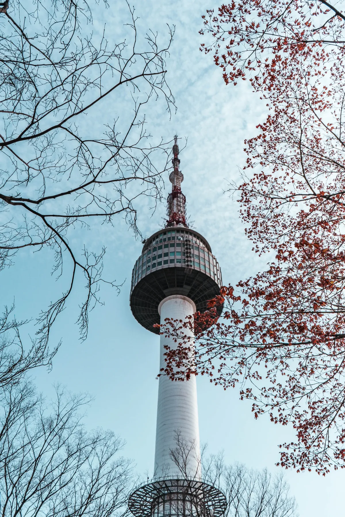 N Seoul Tower seen from below through bare branches and red-leaved branches, its white shaft and round observation deck against a pale blue sky.