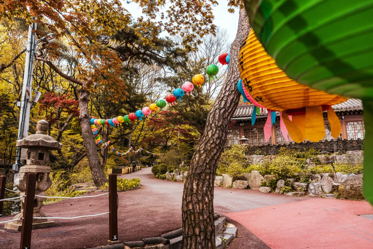 Path with strings of colourful paper lanterns between trees, a stone lantern at left, a yellow lantern in the foreground and a tiled-roof building at right.