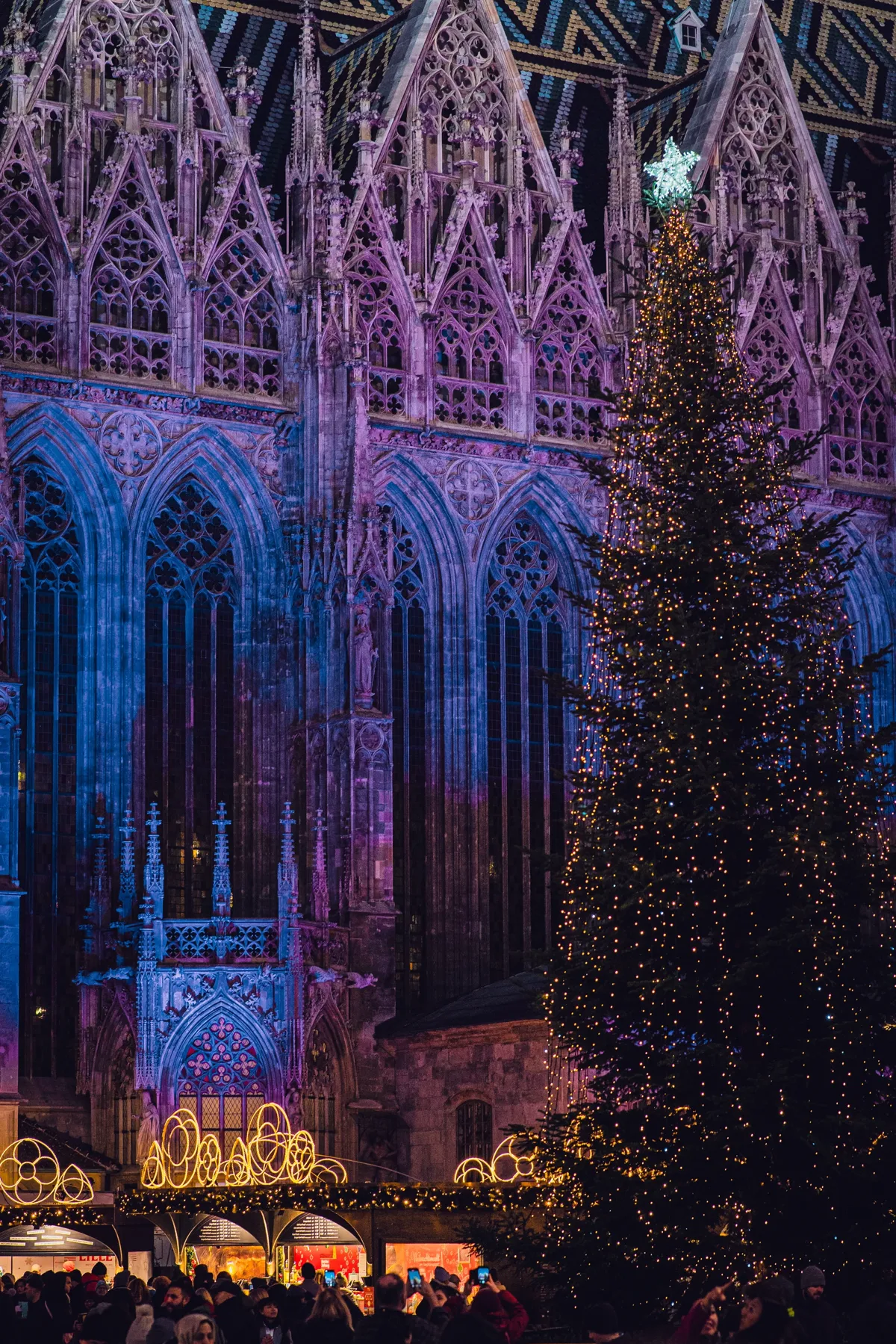 Stephansdom in Vienna lit in purple and blue, with a tall Christmas tree covered in lights beside it.