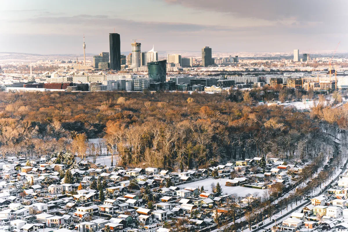Vienna's towers and TV tower beyond a snow-dusted wood and rows of snowy houses, in soft winter light.